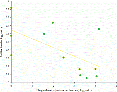 Number of soldier beetles found in 12 winter wheat fields in relation to surrounding field margin density within a 50-metre radius Number of soldier beetles found in 12 winter wheat fields in relation to surrounding field margin density within a 50-metre radius