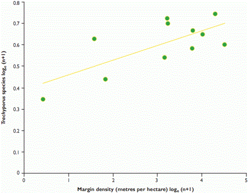 Number of Tachyporus species found in 11 winter wheat fields in relation to surrounding field margin density within a 750-metre radius