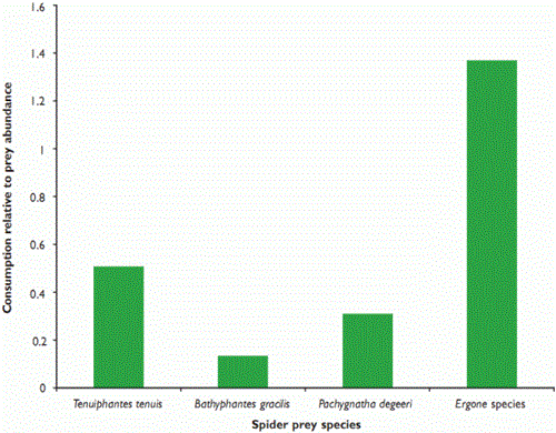 Consumption of four spider taxa by the beetle Pterostichus melanarius in relation to relative prey availability in winter wheat during June 2006