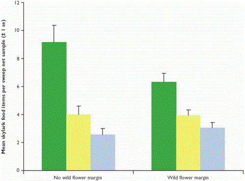Mean skylark food items per sweep net (back transformed data) sampled at one metre, 16 metres and 32 metres from the crop edge Mean skylark food items per sweep net (back transformed data) sampled at one metre, 16 metres and 32 metres from the crop edge