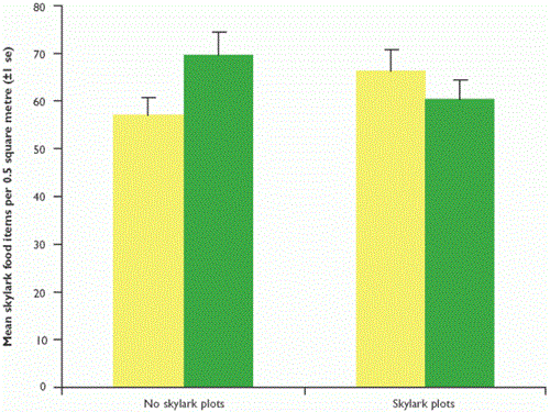 Mean skylark food items per 0.5 square metre (back transformed data) in fields with and without skylark plots and wild flower margins