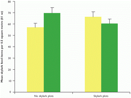 Mean skylark food items per 0.5 square metre (back transformed data) in fields with and without skylark plots and wild flower margins Mean skylark food items per 0.5 square metre (back transformed data) in fields with and without skylark plots and wild flower margins