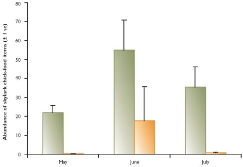 Abundance of invertebrates important in the diet of skylark chicks in undrilled patches and the adjacent crop in 2003