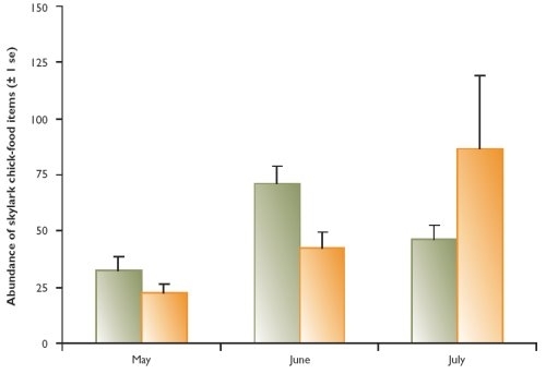 Abundance of invertebrates important in the diet of skylark chicks in undrilled patches and the adjacent crop in 2002