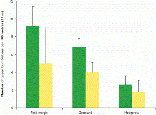 Average number of bumblebee queens seen searching for nest sites in five Rural Stewardship and 15 conventionally-managed habitats in Scotland in 2008