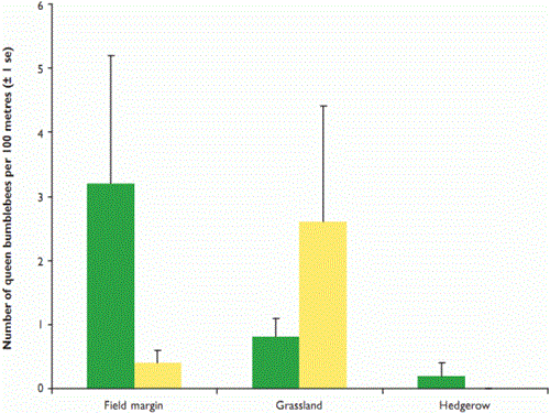 Average number of bumblebee queens seen foraging in five Rural Stewardship and 15 conventionally-managed habitats in Scotland in 2008