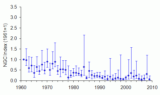 Brown rat trend Wales