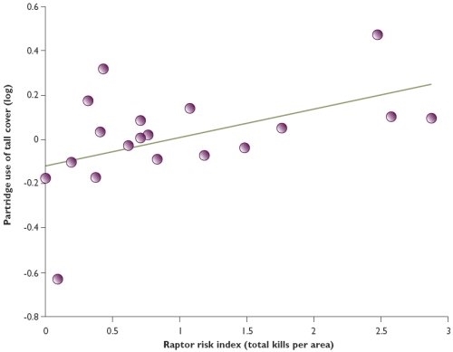 Partridges use tall cover when risk of predation by raptors is high Partridges use tall cover when risk of predation by raptors is high