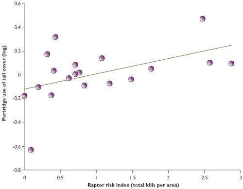 Partridges use tall cover when risk of predation by raptors is high