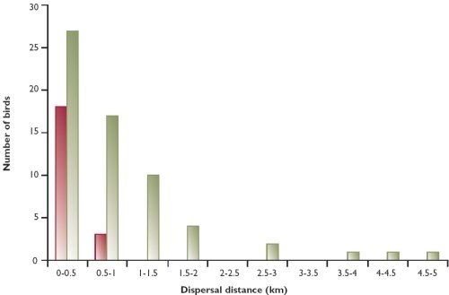 The dispersal distances of juvenile male and female red grouse 1999-2001 (number of grouse = 84)