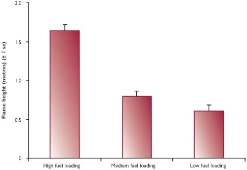 Average flame height of fires in three fuel classes Average flame height of fires in three fuel classes
