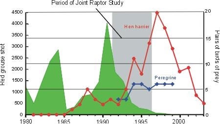 Grouse and raptors at Langholm; before, during, and after the JRS. Numbers of grouse shot (green) and numbers of raptor breeding pairs (red & blue lines) are shown