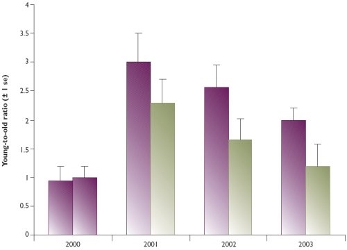 Productivity (young-to-old ratio) of pheasants in plots where Flubenvet-treated grain was provided and untreated plots