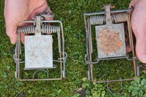 Fenn trap