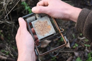 Fenn trap