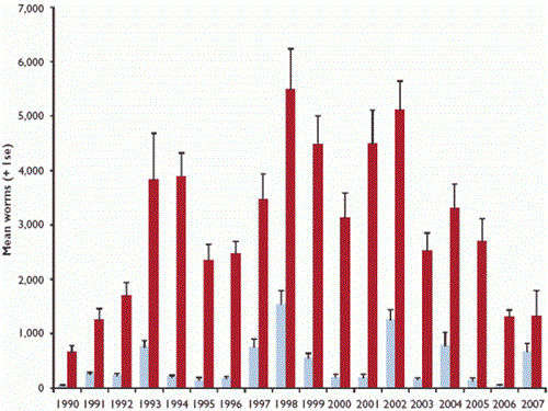 Mean worm burdens in adult and young red grouse on eight moors in the North of England