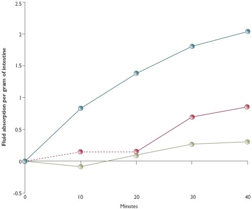 Fluid absorption across three sections of gut from a pheasant moderately infected with Hexamita