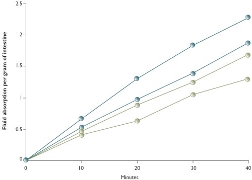 Fluid absorption across four sections of gut from a healthy pheasant