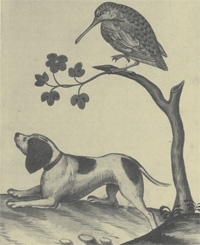 Woodcock print