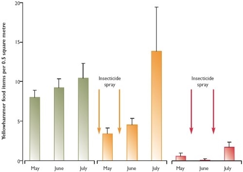 Density of invertebrates preferred by yellowhammers in winter wheat for the unsprayed fields and for those sprayed with insecticides