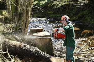 Monnow habitat work