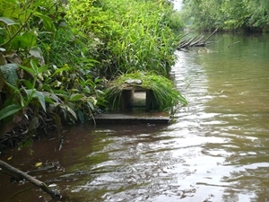 Mink Raft