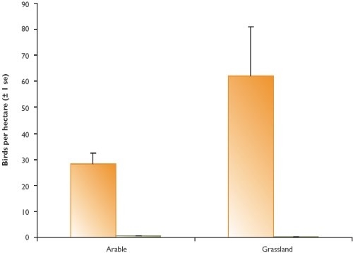 Density of winter birds using game crops on arable and grassland areas compared with other crops