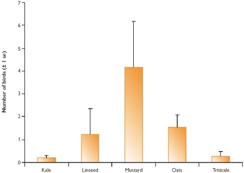 Songbird densities recorded on five common types of Scottish game crops in winter 2003