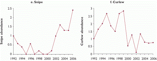 Trends in abundance of 10 bird species at Langholm Moor, 1992-2006