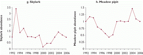 Trends in abundance of 10 bird species at Langholm Moor, 1992-2006