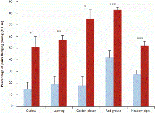 Breeding success of ground-nesting birds monitored as part of the Upland Predation Experiment after controlling for site and year effects