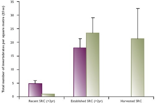 Number of canopy invertebrates found per metre square in recent SRC, established SRC and SRC harvested in the previous year Number of canopy invertebrates found per metre square in recent SRC, established SRC and SRC harvested in the previous year