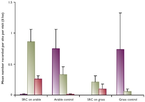 Average number of wintering waders in SRC plantations compared with arable and grass