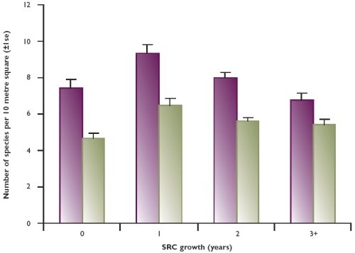 Number of plant species in the edge and interior of 22 SRC plantations at different growth stages