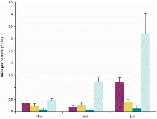 Mean number of birds per hectare (excluding corvids) recorded during May, June and July in 16 miscanthus fields, compared with adjacent control plots