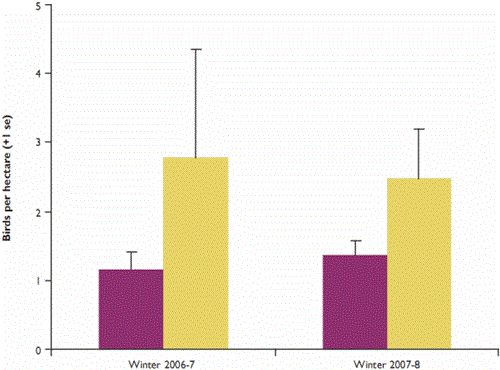 Mean number of birds in miscanthus plots compared with grassland and arable fields