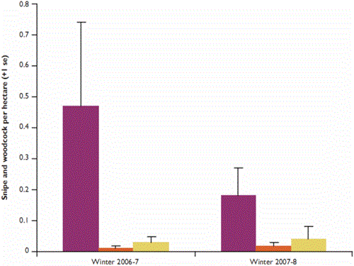 Mean number of snipe and woodcock using open and dense miscanthus and adjacent controls