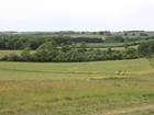 Incentivising farmers to help nature through the Environmental Land Management Scheme. Our letter to The Guardian
