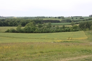 Loddington Farm