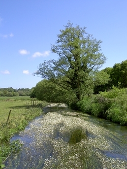 River Frome