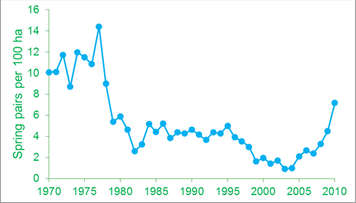 Spring pair density of grey partridges on the Sussex study area from 1970 to 2010. Since 2003/04 one of the farms on the study area has worked hard to restore densities of grey partridges