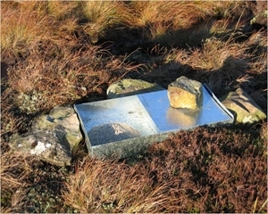 Grit box