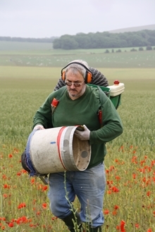 Sussex study