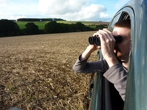 Counting partridges