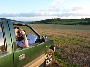 Partridge counting