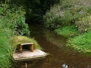 Mink Raft
