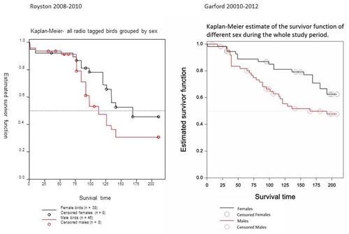 Mortality of male and female grey partridges at Royston and Garford from 1st December onwards. Data pooled across both years per site (Kaplan-Meier)