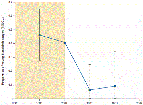 Proportion of young blackbirds caught in the two years before and two years after cessation of predator control at Loddington Proportion of young blackbirds caught in the two years before and two years after cessation of predator control at Loddington