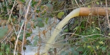 Managing pesticide contamination in surface water
