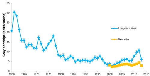 Grey partridge index of spring pair density 1960-2013 from the Partridge Count Scheme